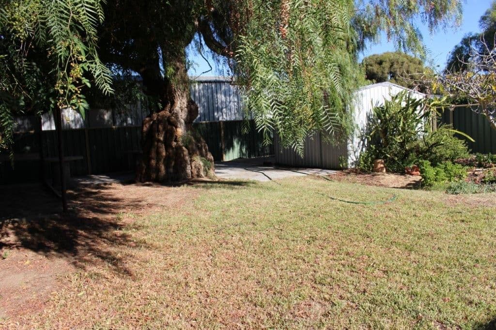 20 Hunts Road, Dongara WA 6525, Dongara - Thumbnail 8