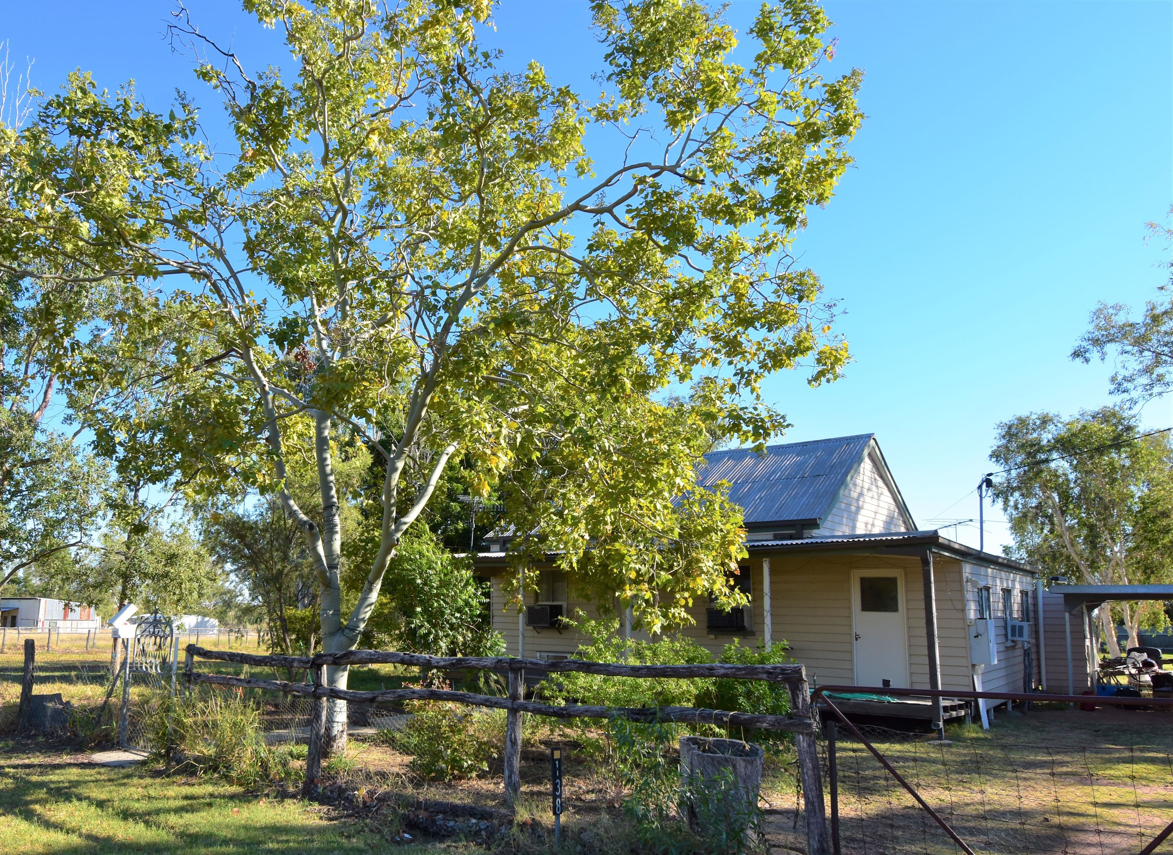 138 Yew Street, Barcaldine QLD 4725, Barcaldine - Image 1