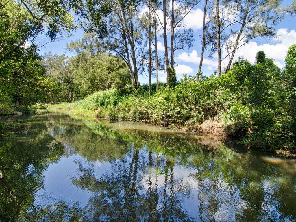 744 Currumbin Creek Road, Currumbin Valley QLD 4223, Currumbin Valley - Thumbnail 4