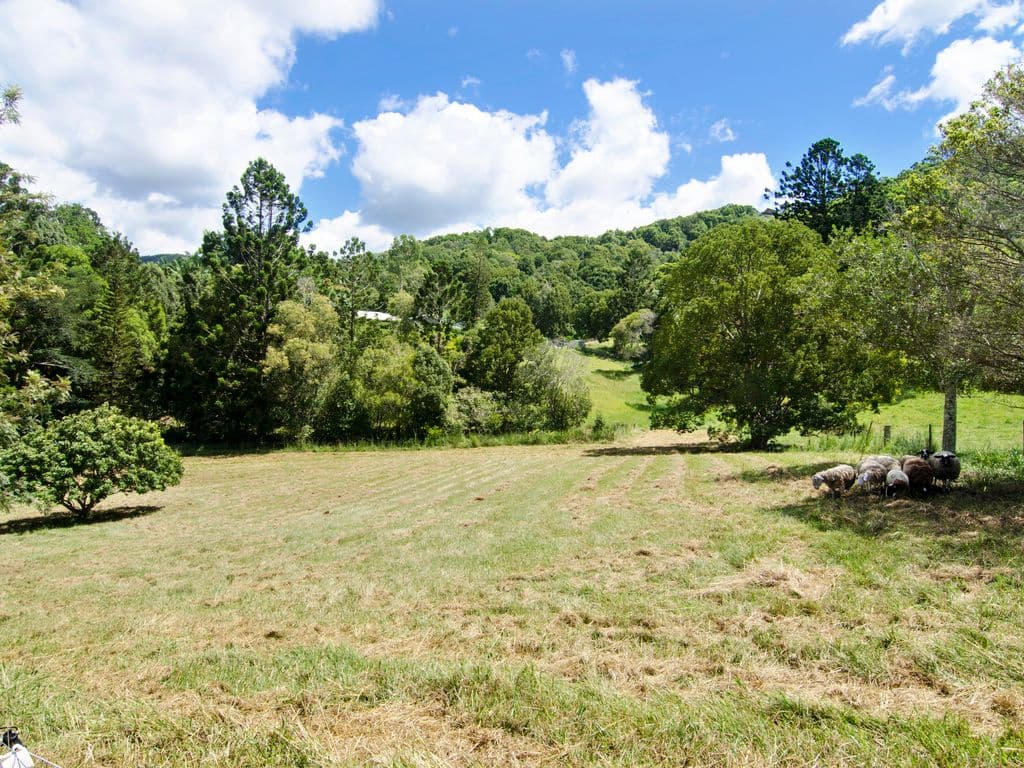 744 Currumbin Creek Road, Currumbin Valley QLD 4223, Currumbin Valley - Thumbnail 6