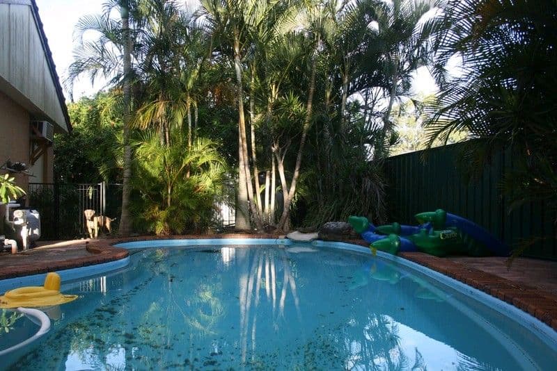 11 Bellis Street, DAISY HILL QLD 4127, Daisy Hill - Thumbnail 2