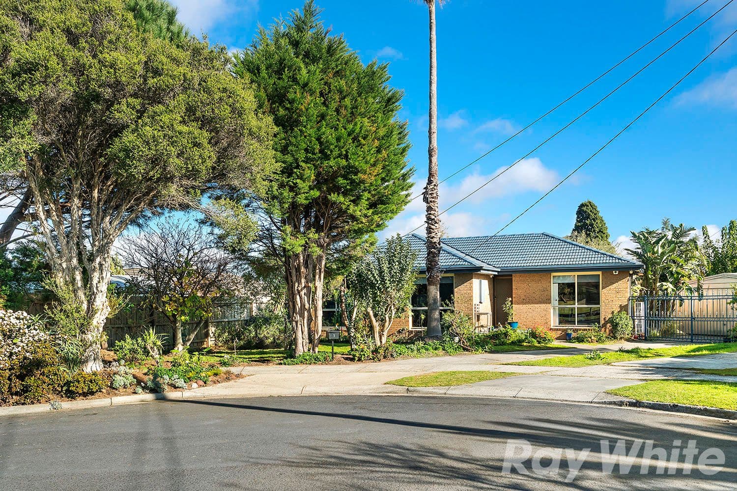 1 Larado Place, Clayton South VIC 3169, Clayton South - Image 1
