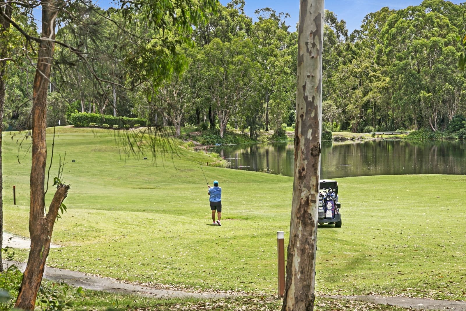 16 Waterwood Court, Arundel QLD 4214, Arundel - Thumbnail 2