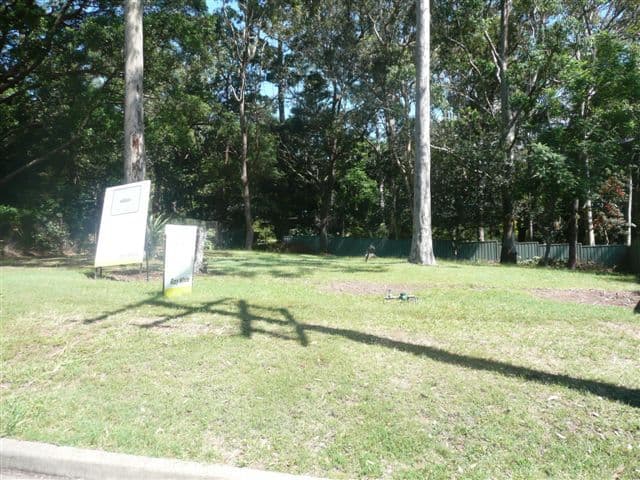 59a Jarrett Street, TORONTO NSW 2283, Toronto - Thumbnail 2