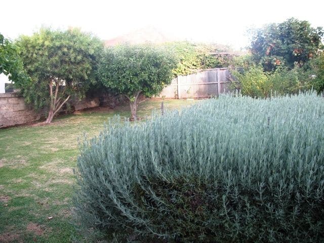 13 Henna Street, WARRNAMBOOL VIC 3280, Warrnambool - Thumbnail 6