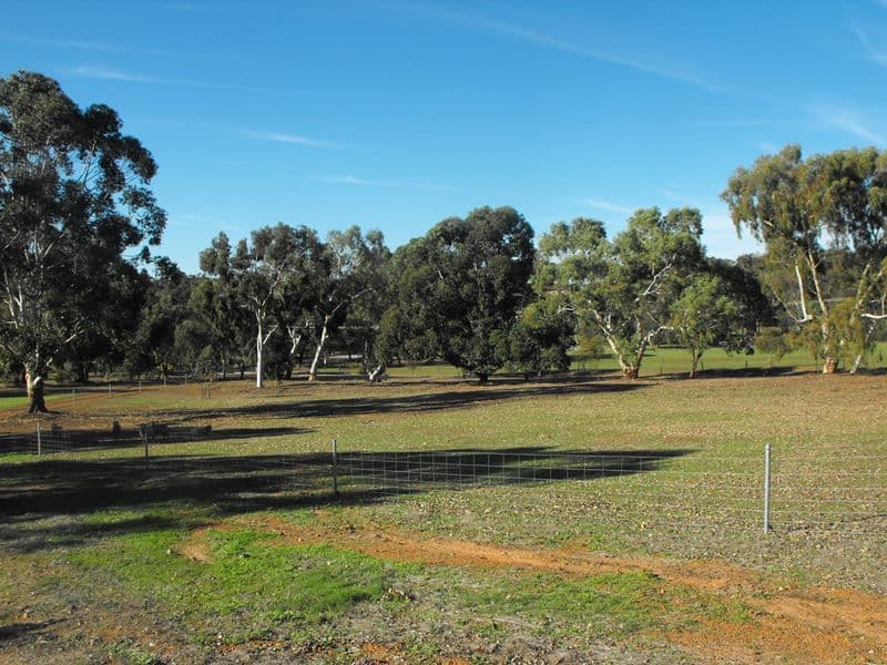 443 Forrest Hills Parade, Bindoon WA 6502, Bindoon - Thumbnail 3