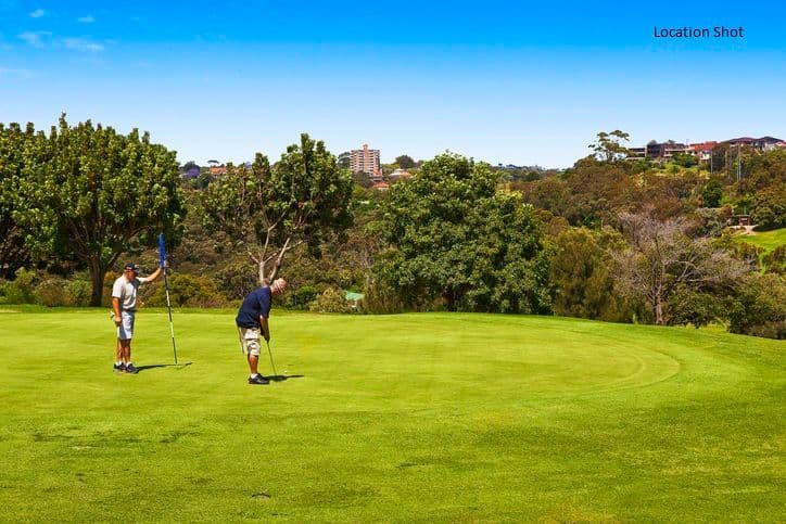 409a Sailors Bay Road, NORTHBRIDGE NSW 2063, Northbridge - Thumbnail 5