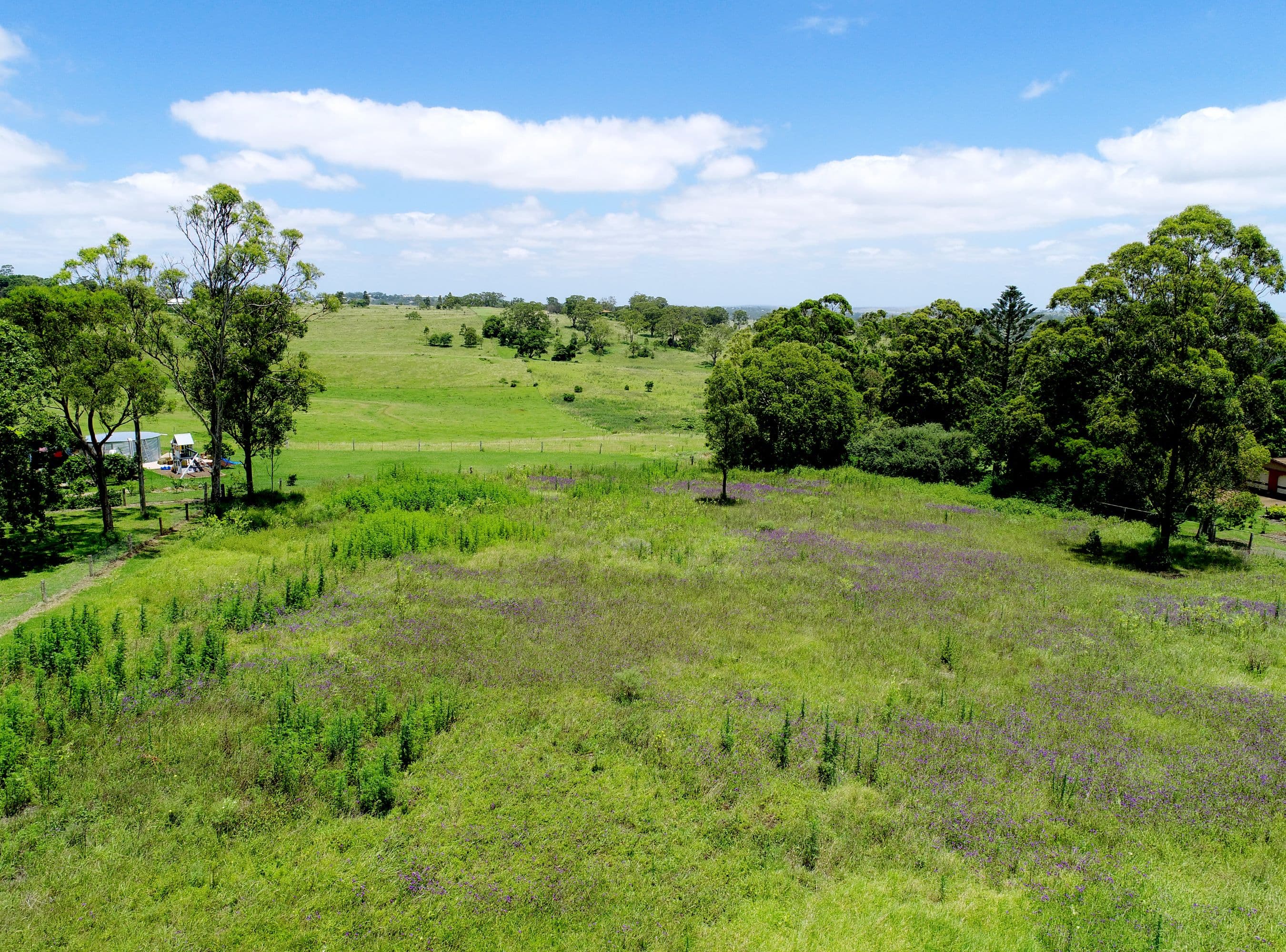 5B Kimberley Court, Blue Mountain Heights QLD 4350, Blue Mountain Heights - Thumbnail 7