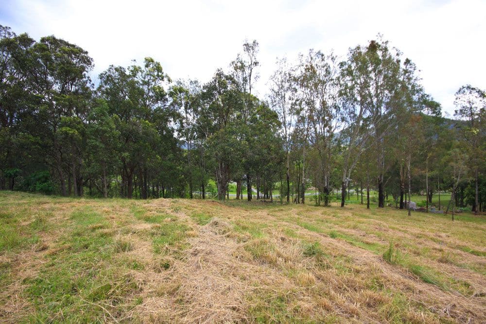 CEDAR CREEK QLD 4520, Cedar Creek - Thumbnail 2