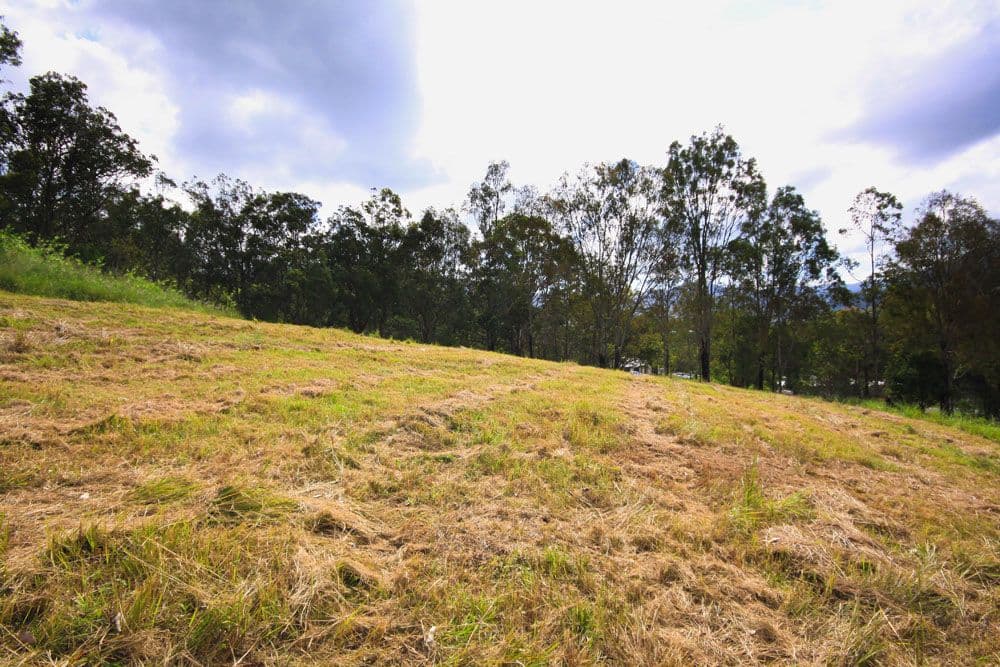 CEDAR CREEK QLD 4520, Cedar Creek - Thumbnail 3