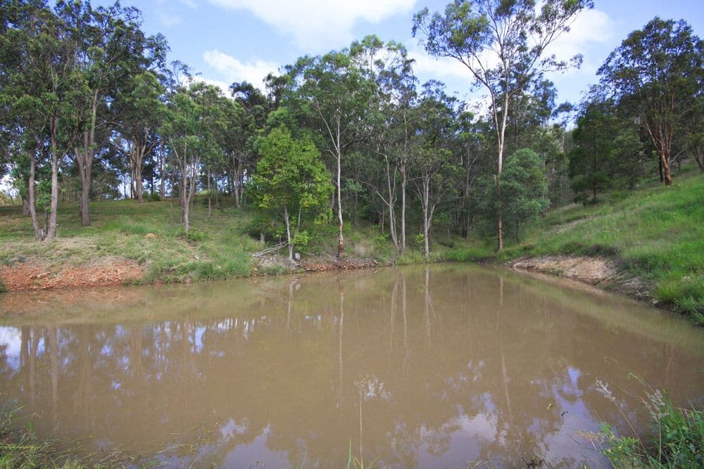 CEDAR CREEK QLD 4520, Cedar Creek - Thumbnail 4
