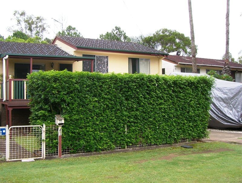 46   Bale Street, ROCKLEA QLD 4106, Rocklea - Thumbnail 2