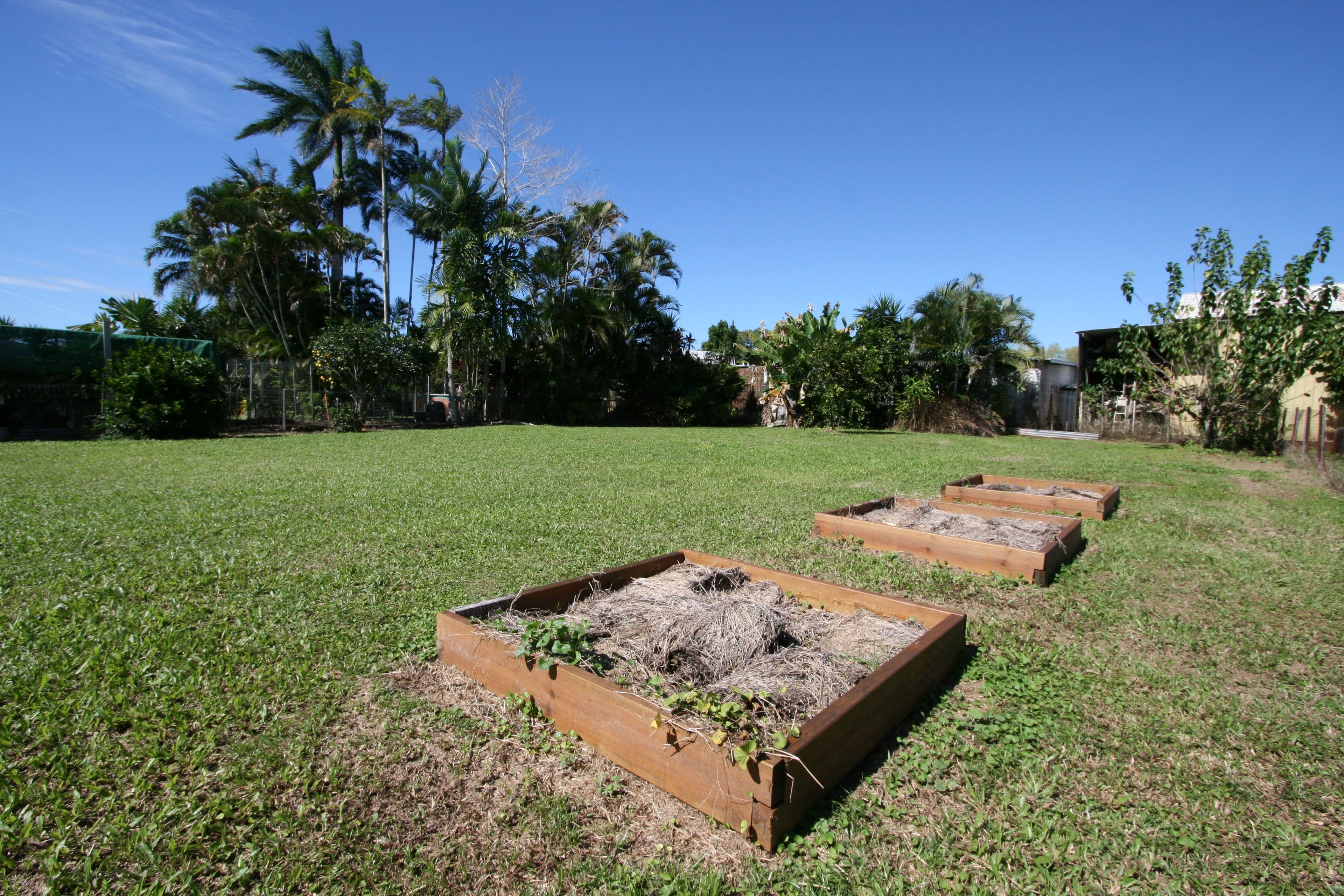 3 Beech Street, Goondi QLD 4860, Goondi Bend - Thumbnail 4