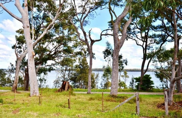 BUFF POINT NSW 2262, Buff Point - Image 1