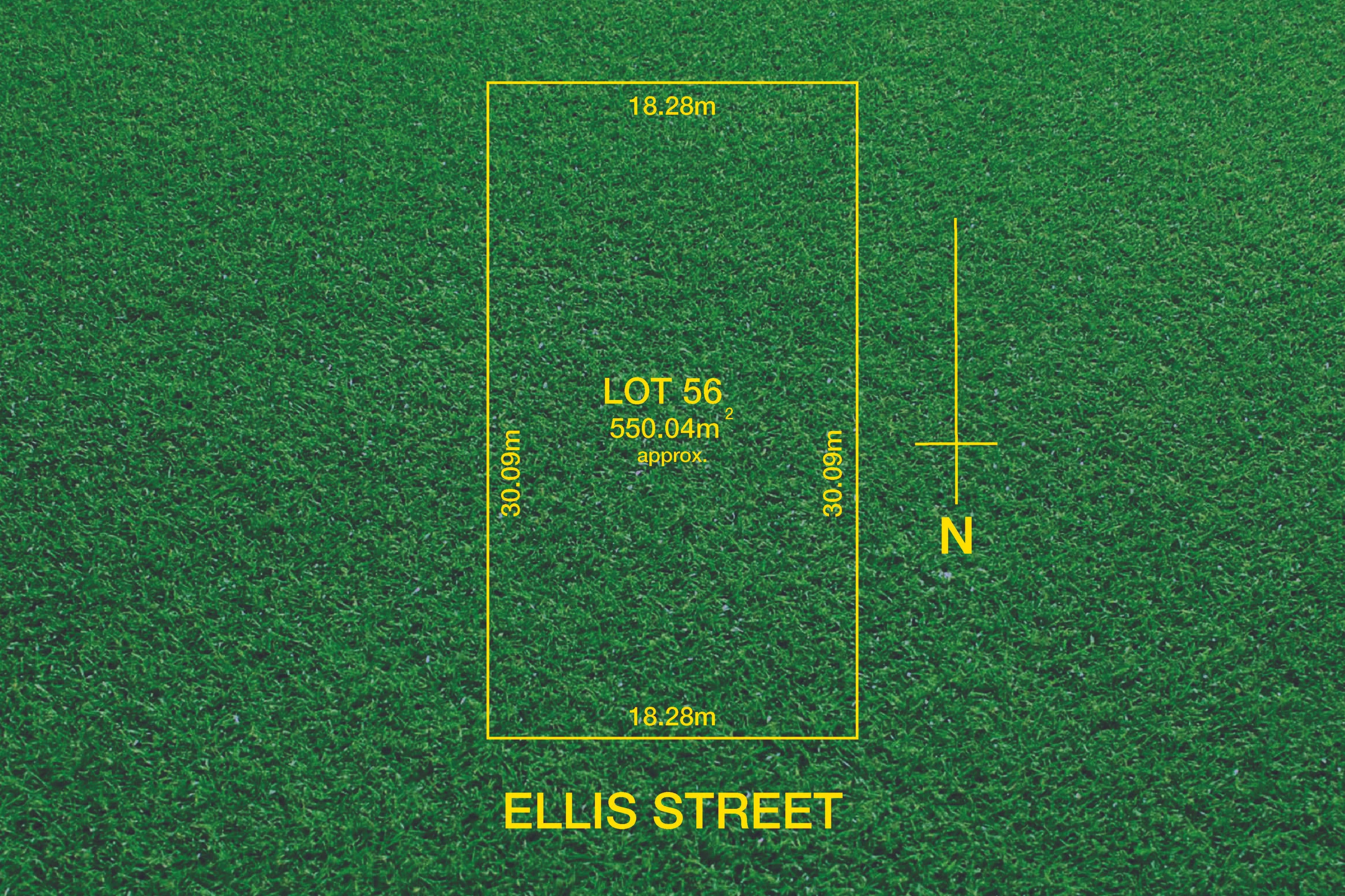11 Ellis Street, Enfield SA 5085, Enfield - Thumbnail 4