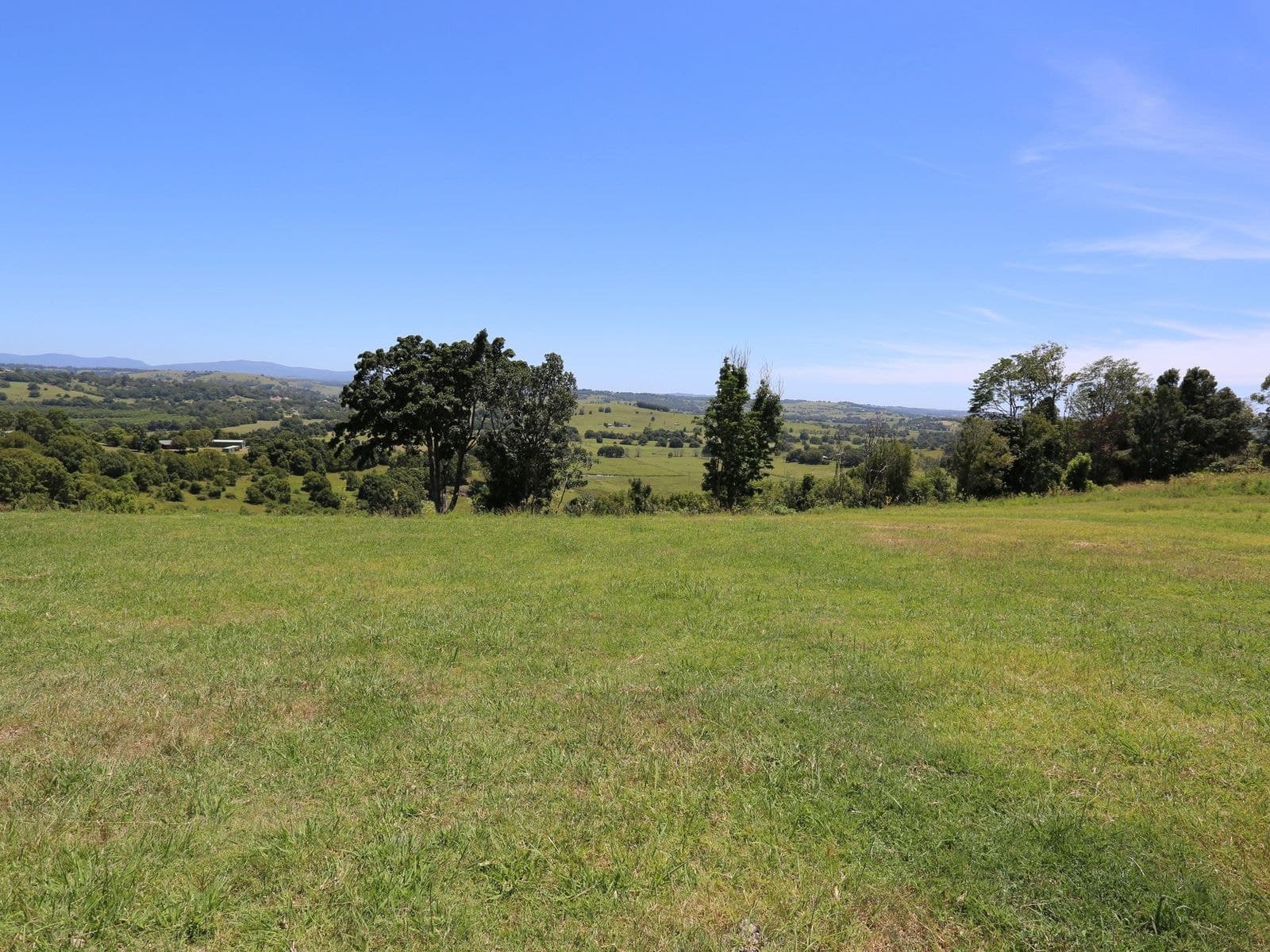 140 Richmond Hill Road, Richmond Hill - Thumbnail 6