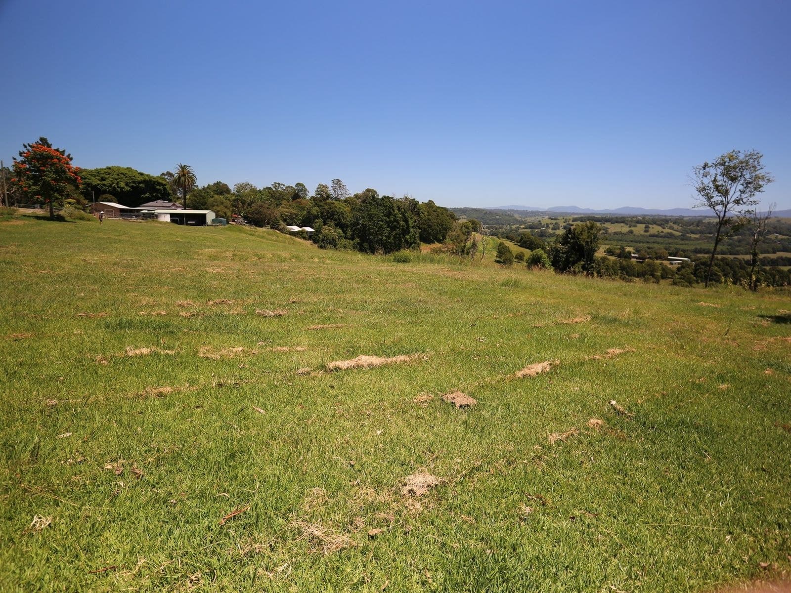140 Richmond Hill Road, Richmond Hill - Thumbnail 7