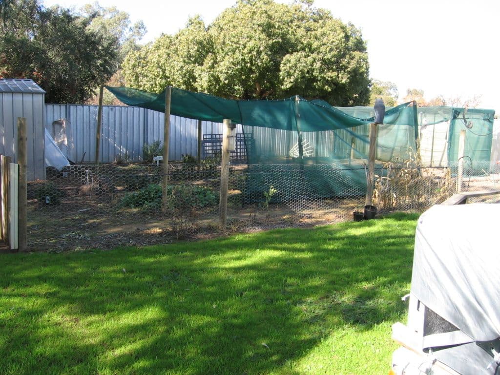 65 Victoria Street, ROCHESTER VIC 3561, Rochester - Thumbnail 4