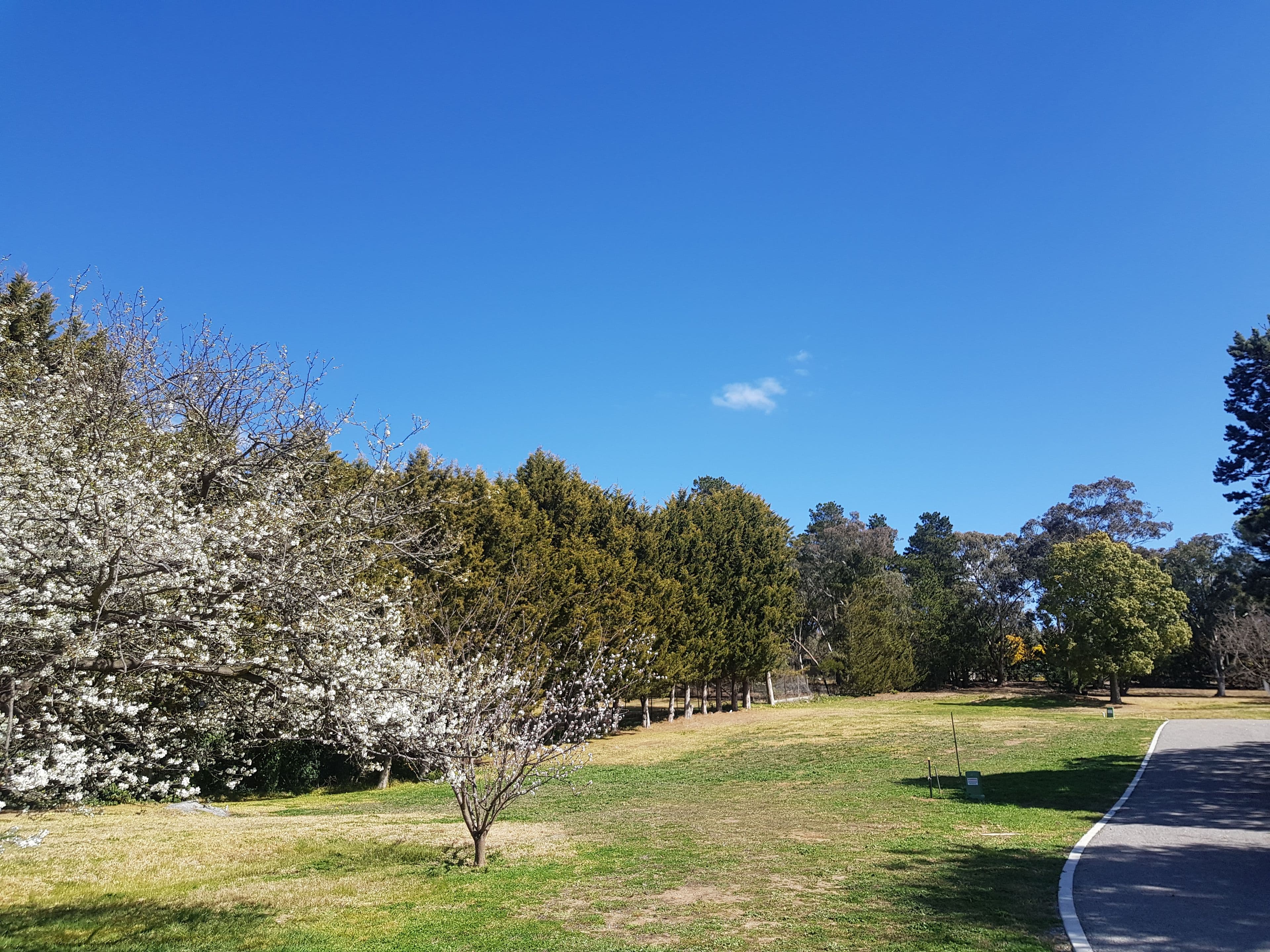20b Cathcart Street, Goulburn NSW 2580, Goulburn - Thumbnail 6