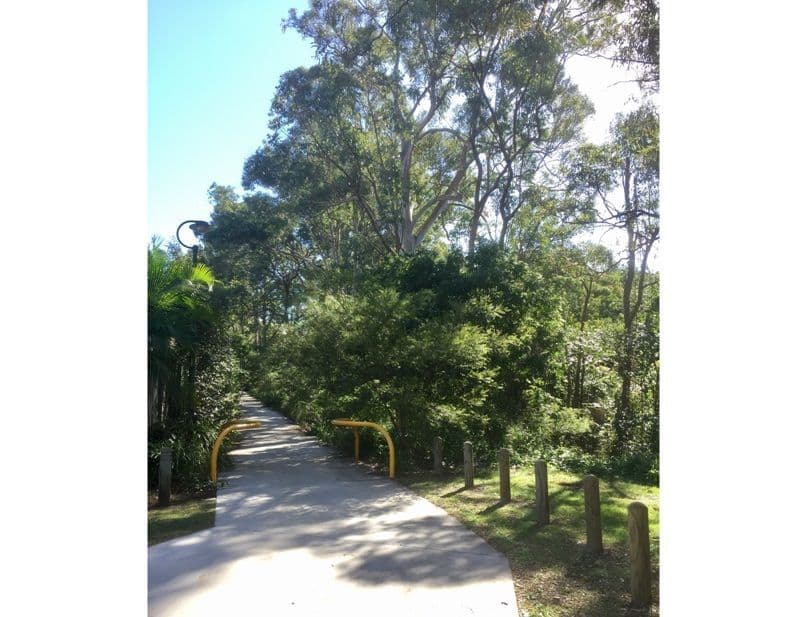 79 Bellevue Avenue, Gaythorne QLD 4051, Gaythorne - Thumbnail 2