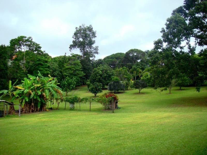 65 Salisbury Drive, JULATTEN QLD 4871, Julatten - Thumbnail 3