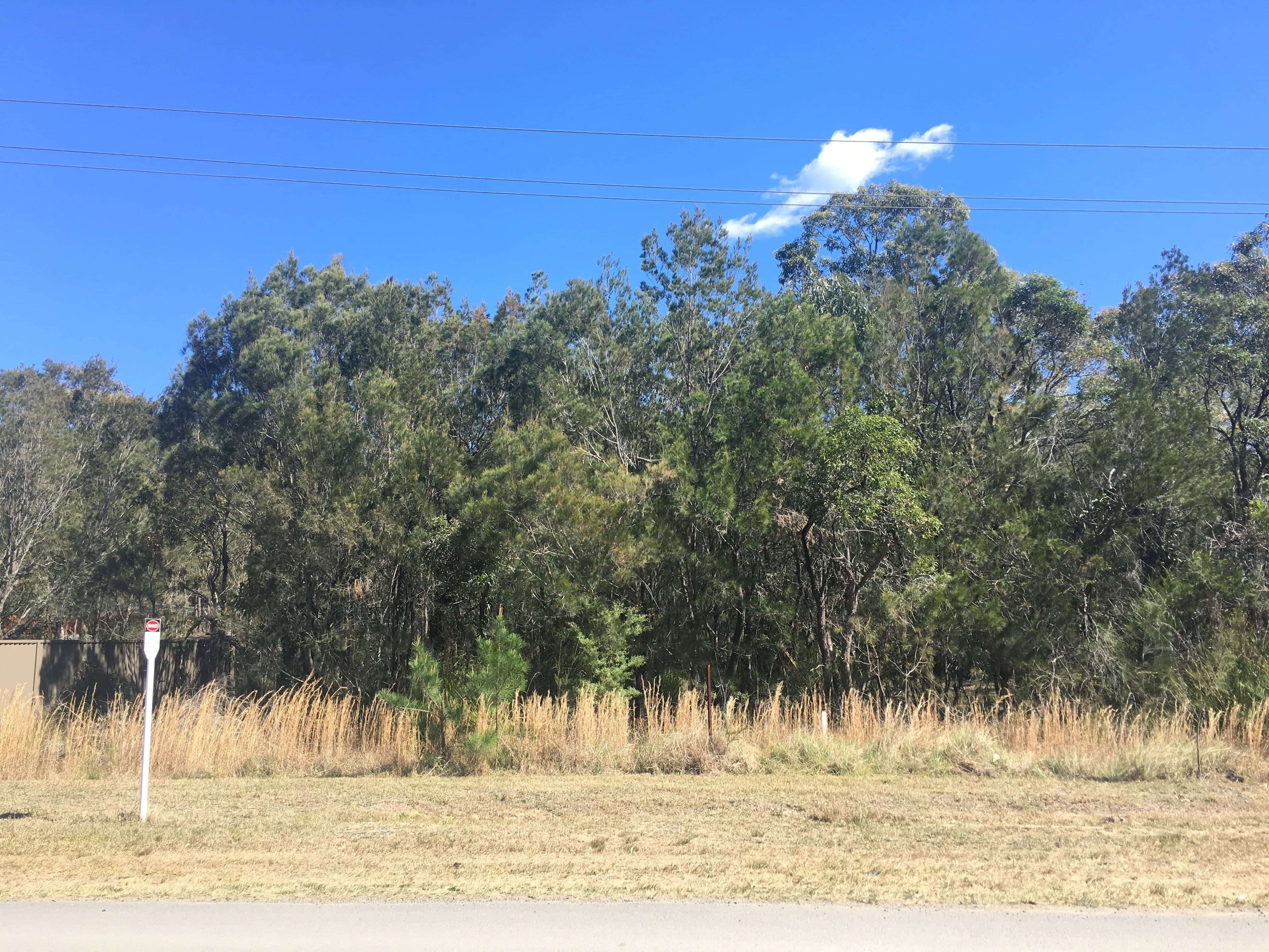 552 Bushells Ridge Road, Wyee NSW 2259, Wyee - Thumbnail 6