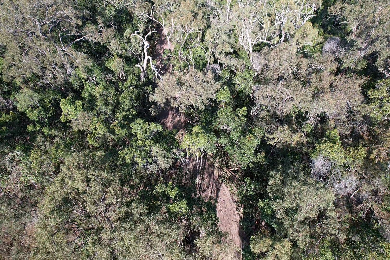 Lot 185 Innamincka Way, Agnes Water QLD 4677, Agnes Water - Thumbnail 5