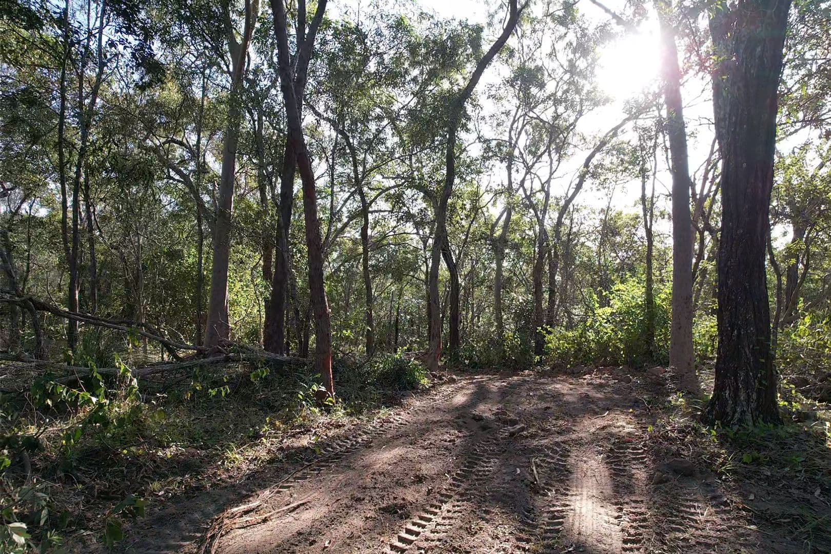 Lot 185 Innamincka Way, Agnes Water QLD 4677, Agnes Water - Thumbnail 8