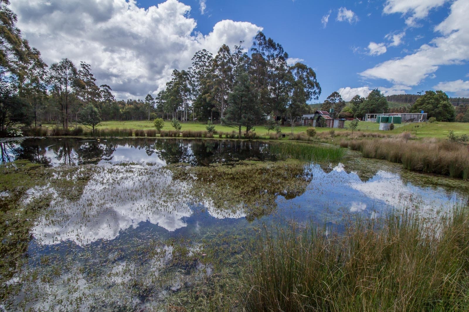 247 Targa Hill Road, Myrtle Bank, Myrtle Bank - Thumbnail 4