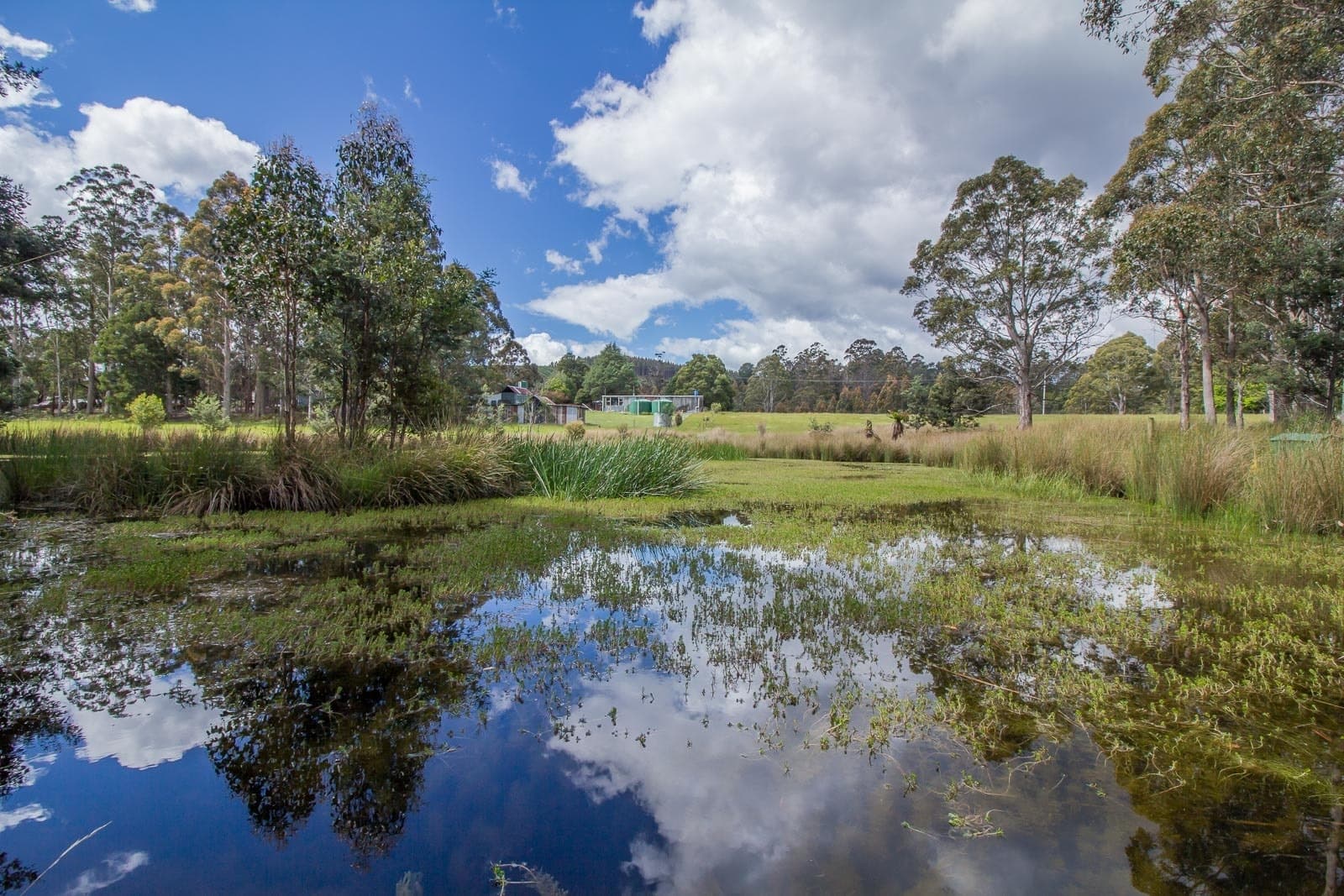 247 Targa Hill Road, Myrtle Bank, Myrtle Bank - Thumbnail 6
