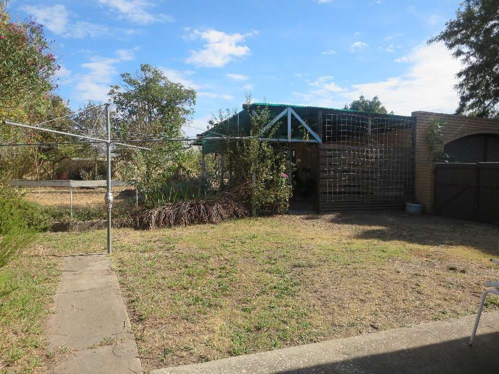 431 English Avenue, Lavington NSW 2641, Lavington - Thumbnail 8