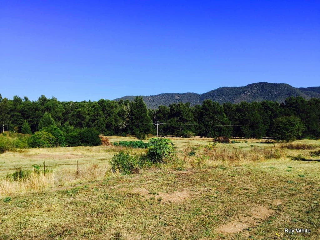 6162 Araluen Road, Braidwood NSW 2622, Braidwood - Thumbnail 4