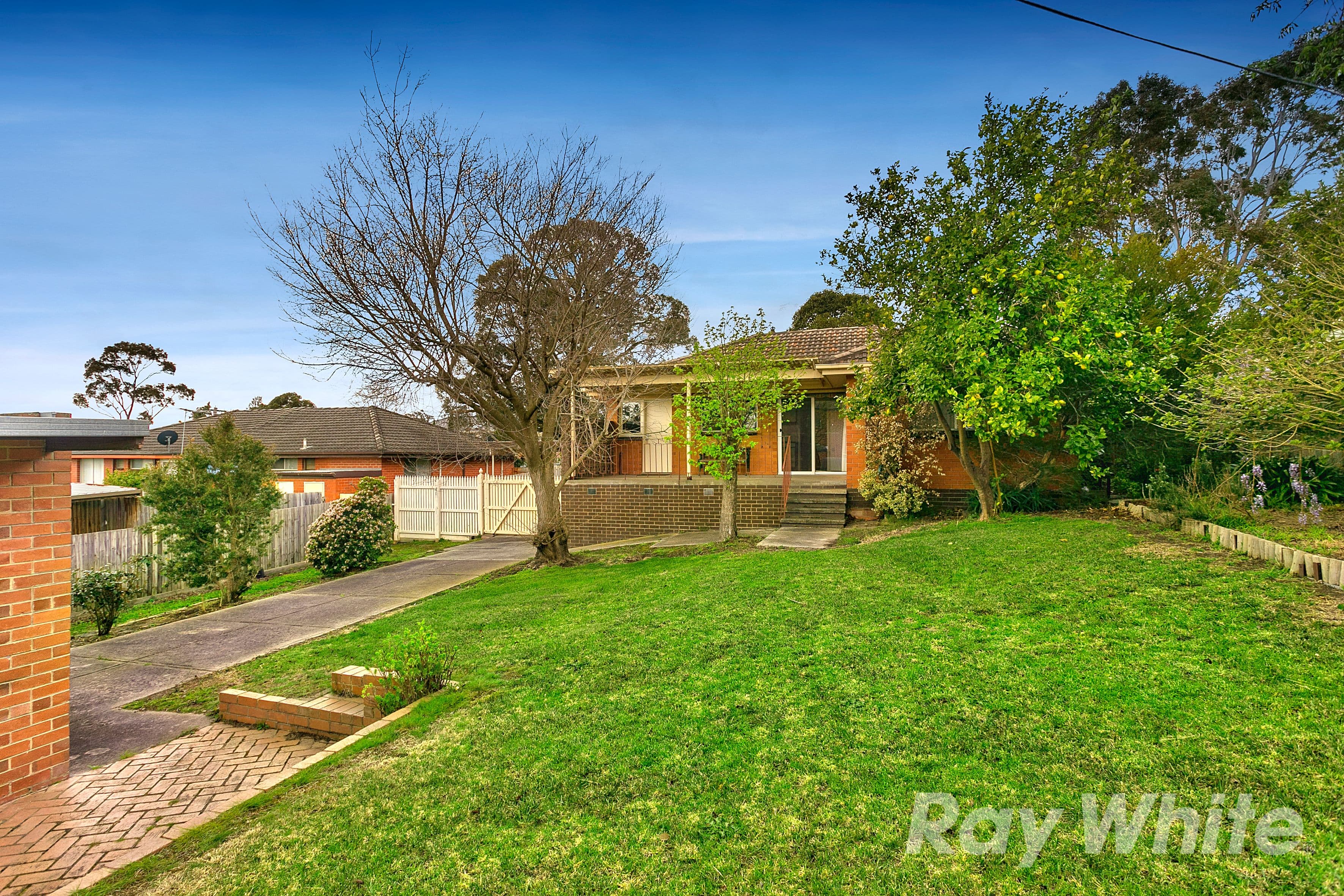 3 Adrienne Crescent, Mount Waverley VIC 3149, Mount Waverley - Thumbnail 3