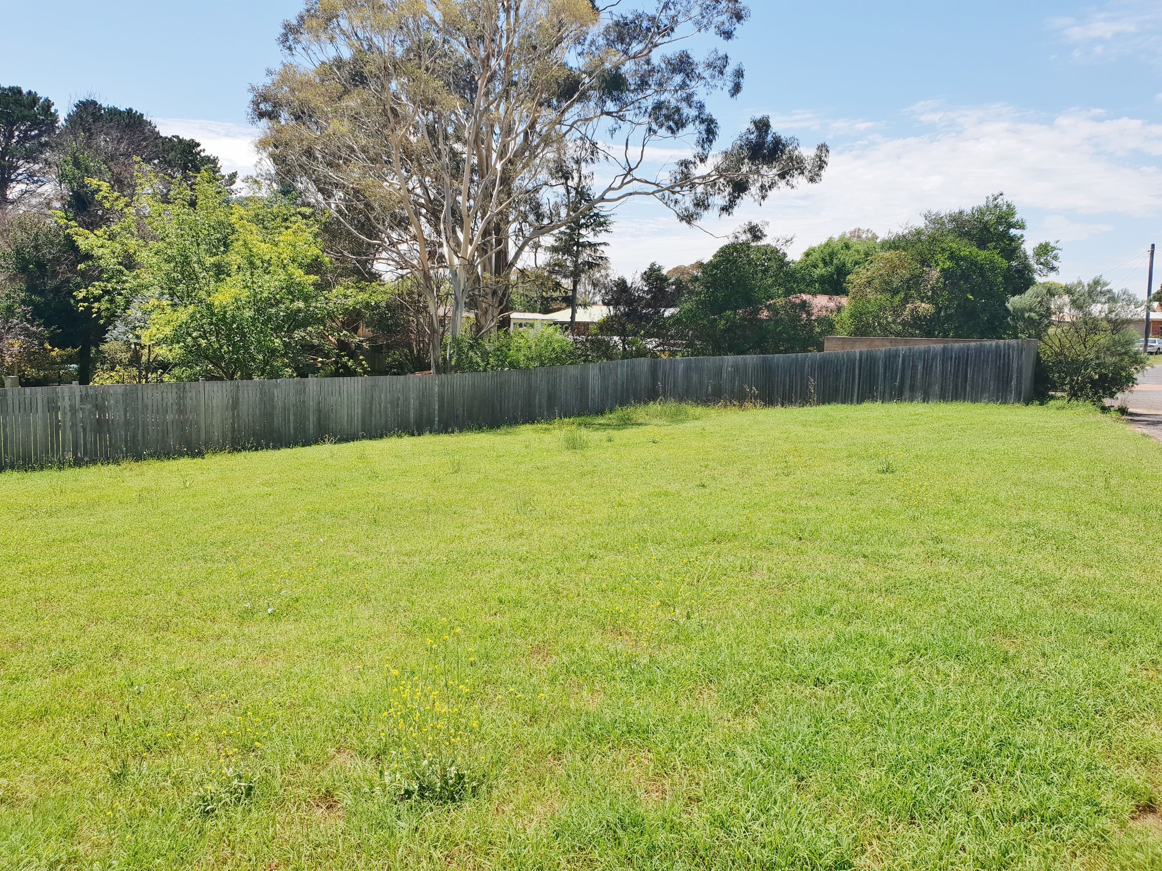 17 Malone Street, Braidwood NSW 2622, Braidwood - Thumbnail 3