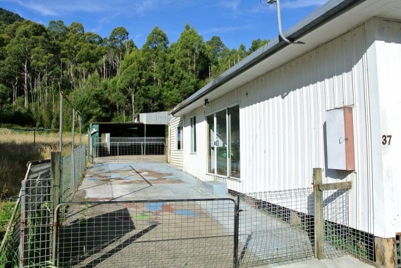 37 Dalmeny Street, ROSEBERY TAS 7470, Rosebery - Thumbnail 5