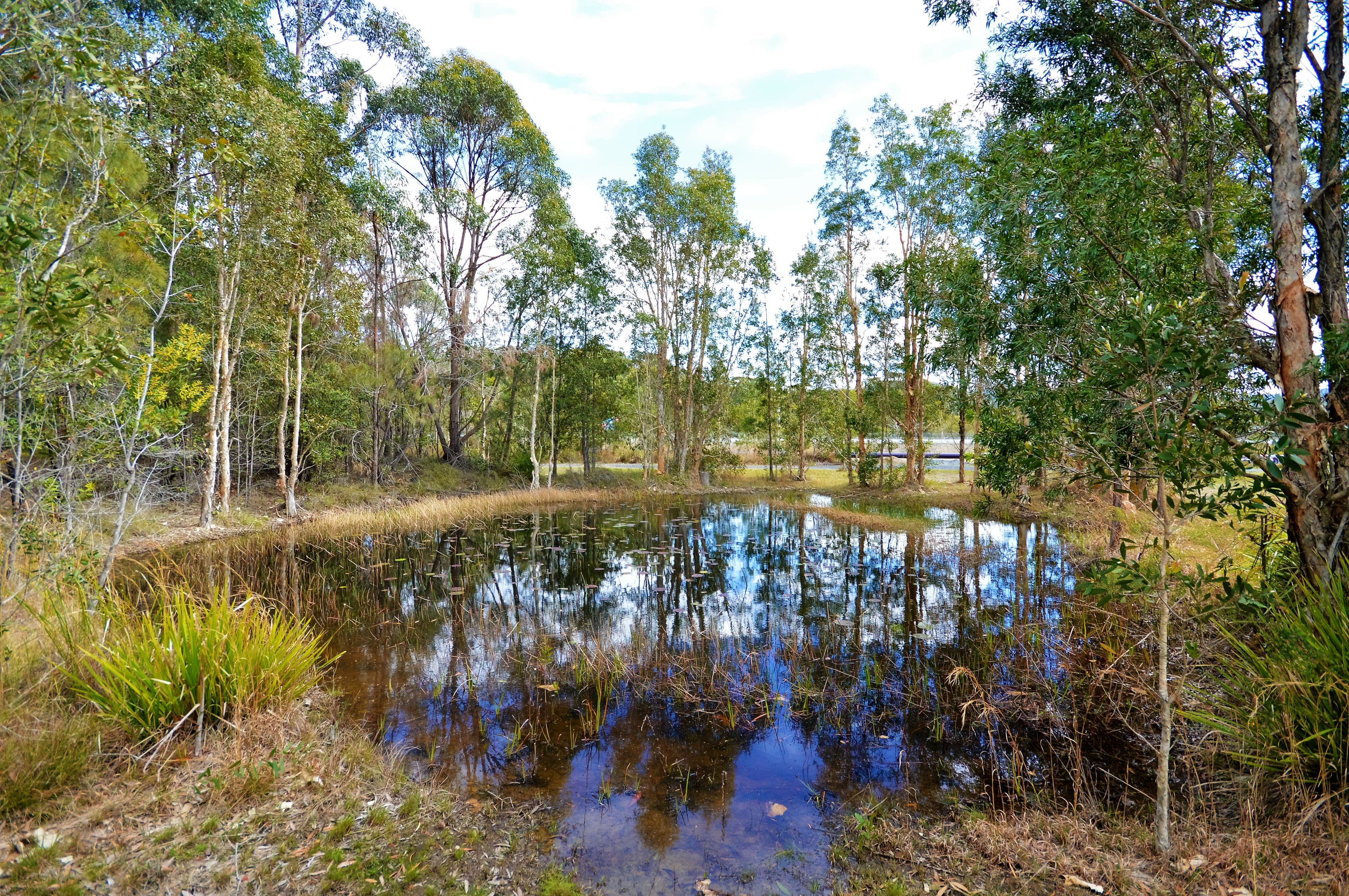 Lot 3 Tiki Road, Moonee Beach NSW 2450, Moonee Beach - Thumbnail 3