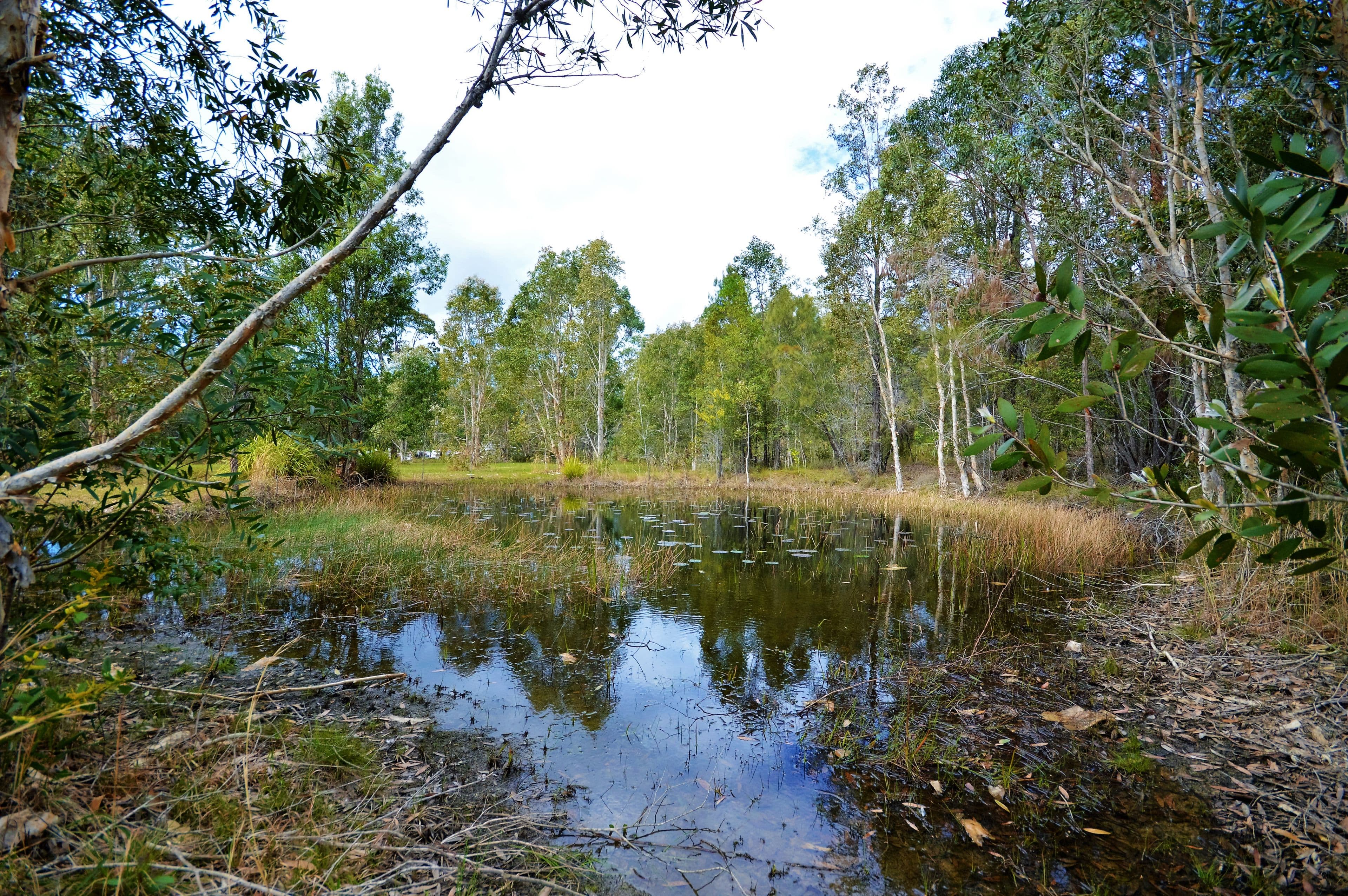 Lot 3 Tiki Road, Moonee Beach NSW 2450, Moonee Beach - Thumbnail 4