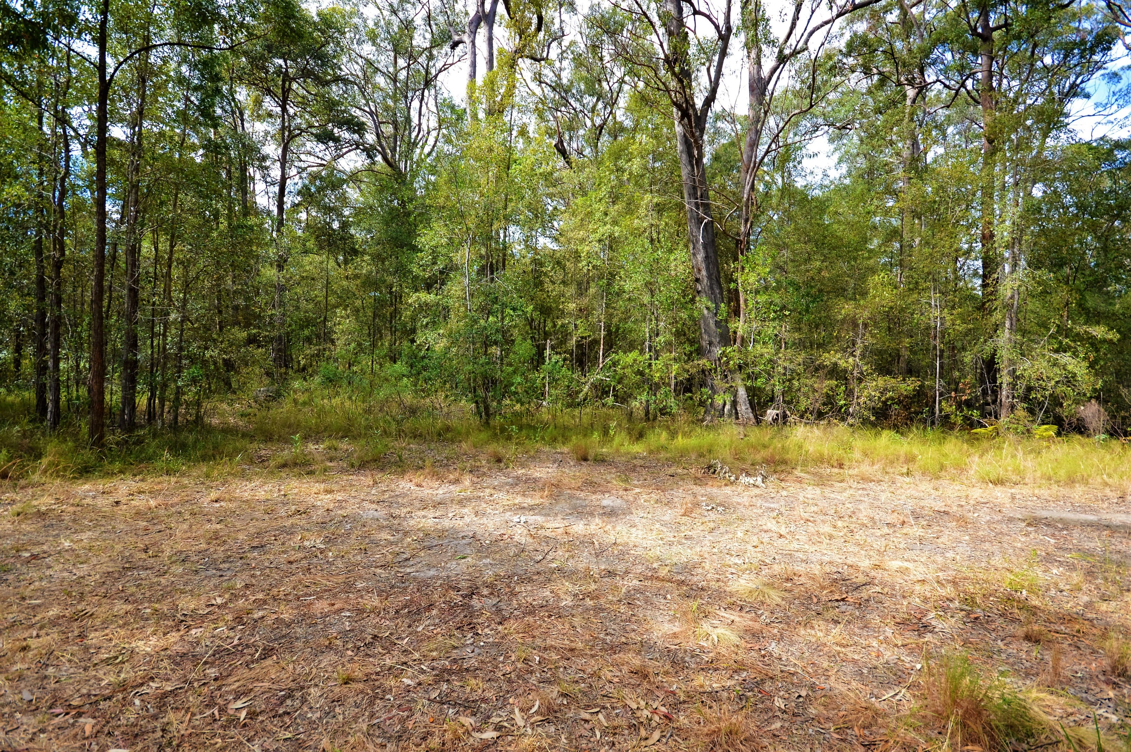 Lot 3 Tiki Road, Moonee Beach NSW 2450, Moonee Beach - Thumbnail 5