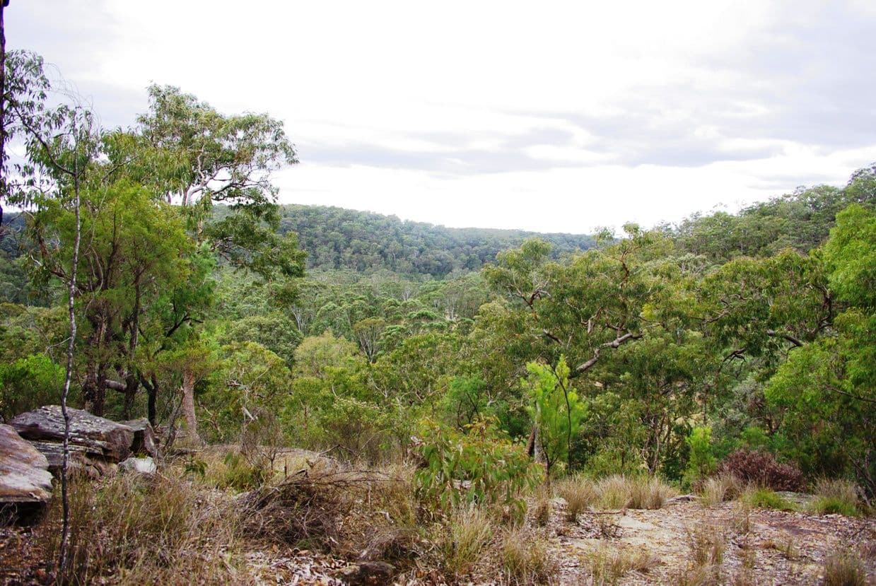 1029 Putty Road, EAST KURRAJONG NSW 2758, East Kurrajong - Thumbnail 3