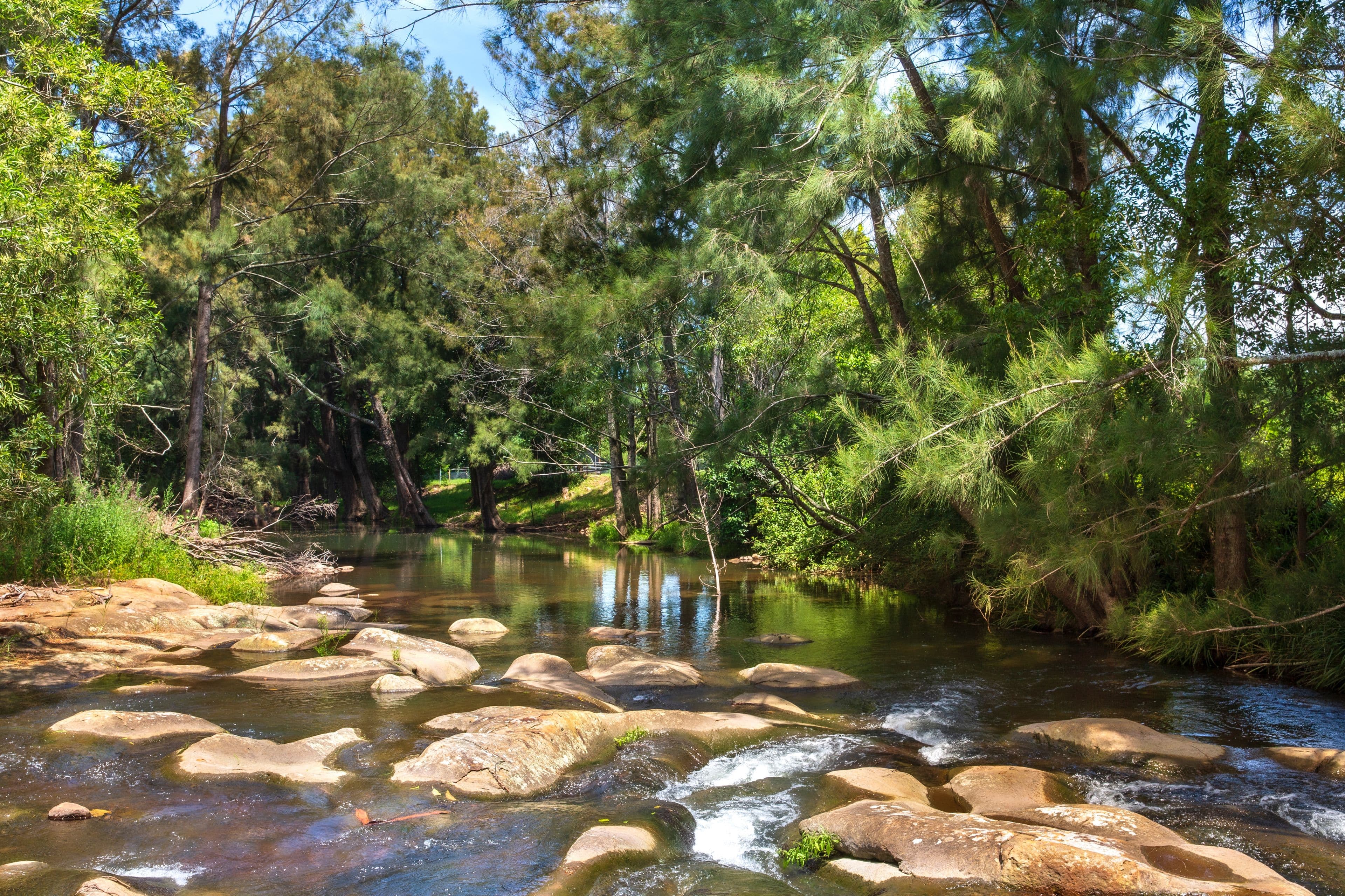10 Mount Vista Close, Berry NSW 2535, Berry - Thumbnail 7