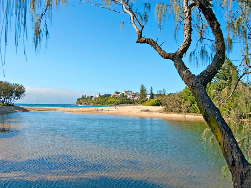 15 Elizabeth Street, DICKY BEACH QLD 4551, Dicky Beach - Thumbnail 4