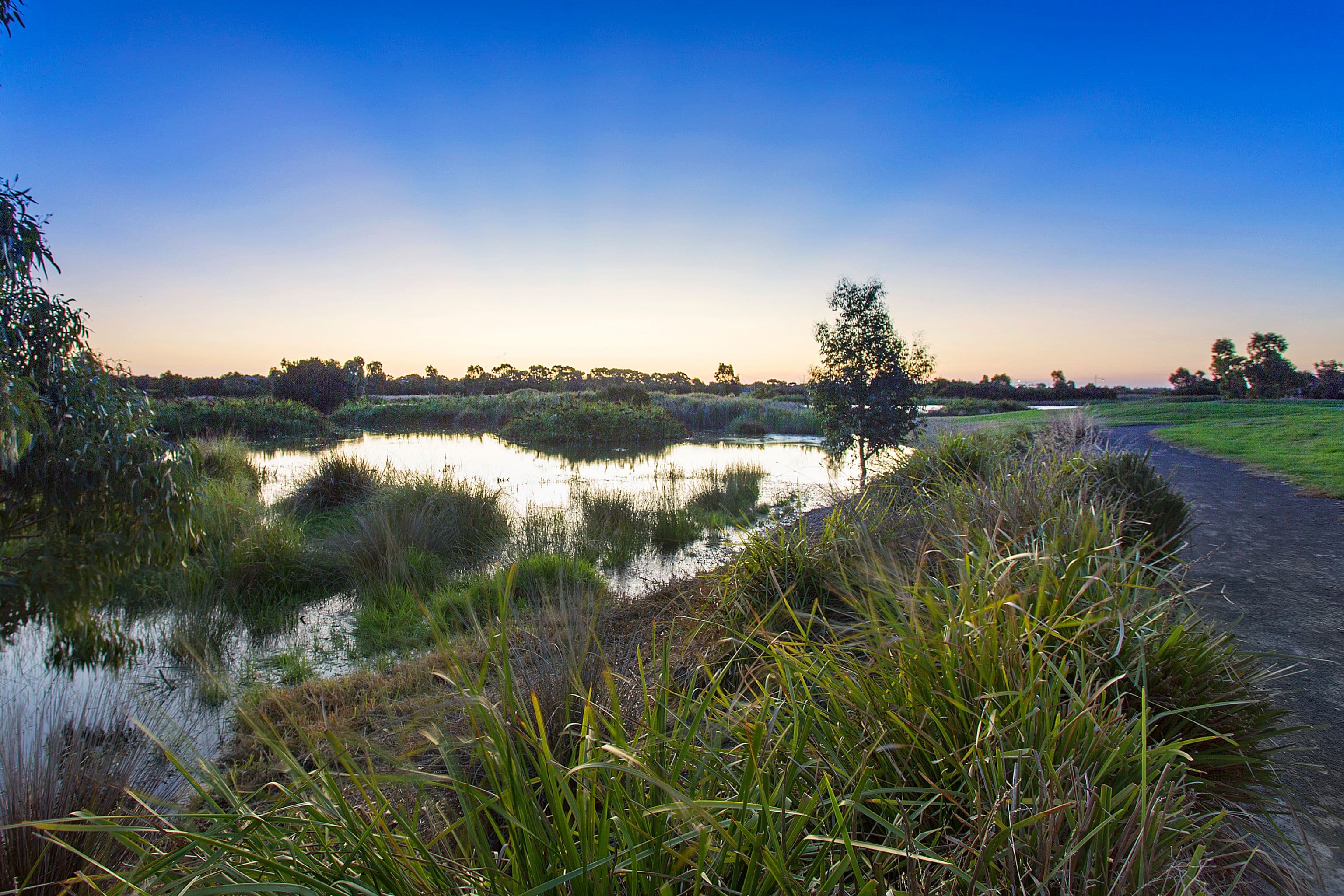 5 Buloke Lane, Waterways VIC 3195, Waterways - Thumbnail 4