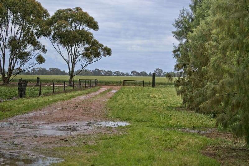 398 Conrad Road, RED BANKS SA 5502, Red Banks - Thumbnail 2