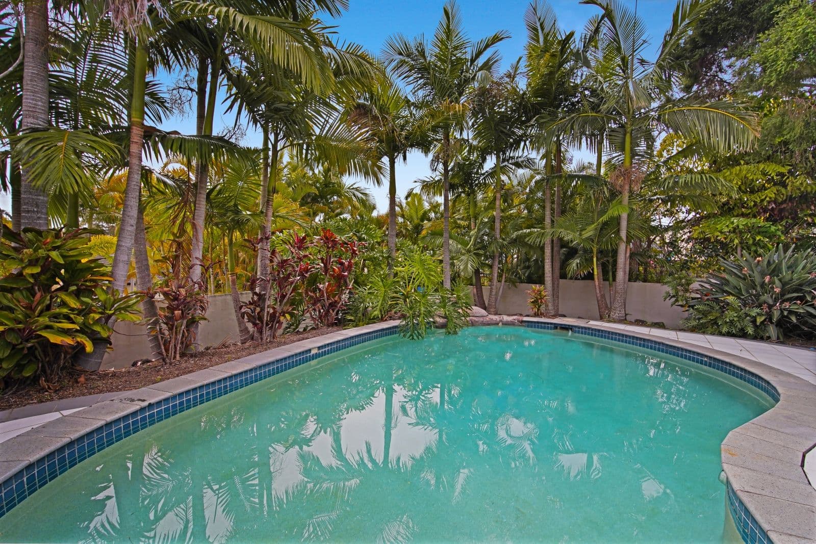 3 Worthing Court, Arundel QLD 4214, Arundel - Thumbnail 2