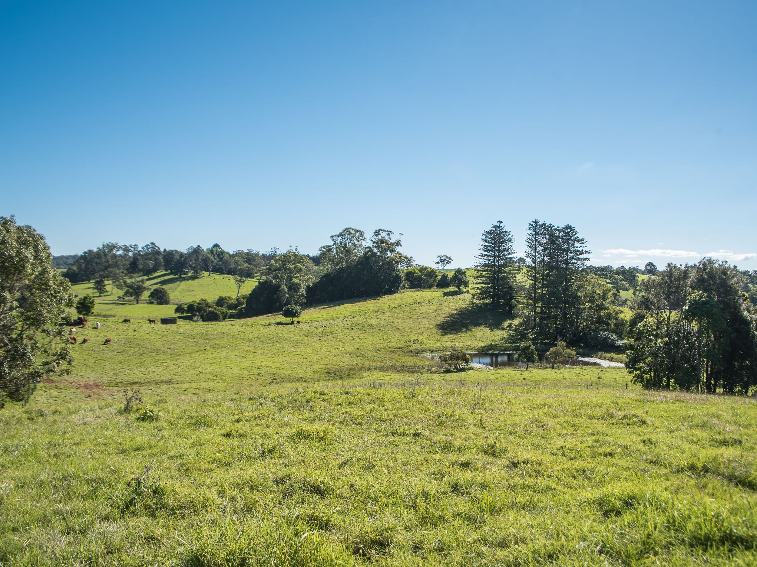 1150 Mount Mee Road, Mount Mee QLD 4521, Mount Mee - Thumbnail 4