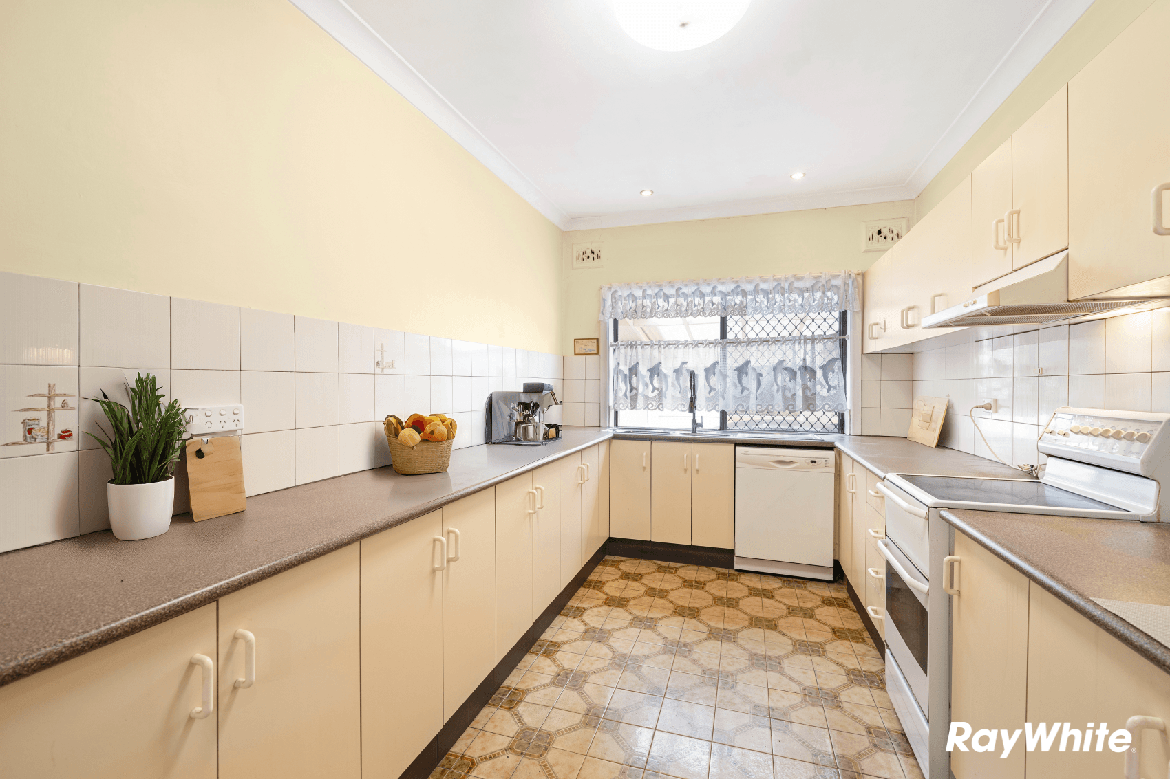 48 Wicks Road, North Ryde NSW 2113, North Ryde - Thumbnail 4