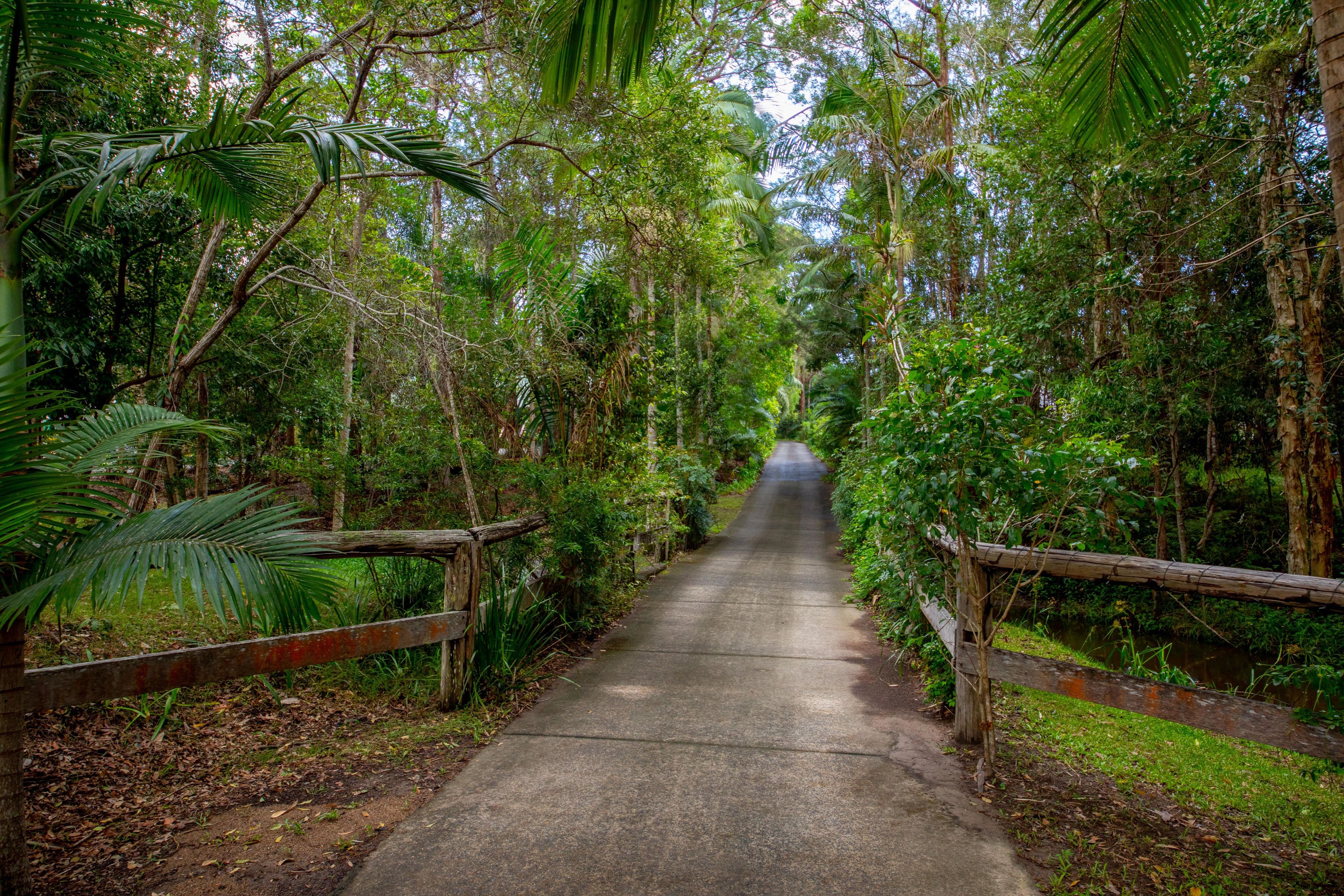 211 Ballinger Road, Buderim QLD 4556, Buderim - Thumbnail 3