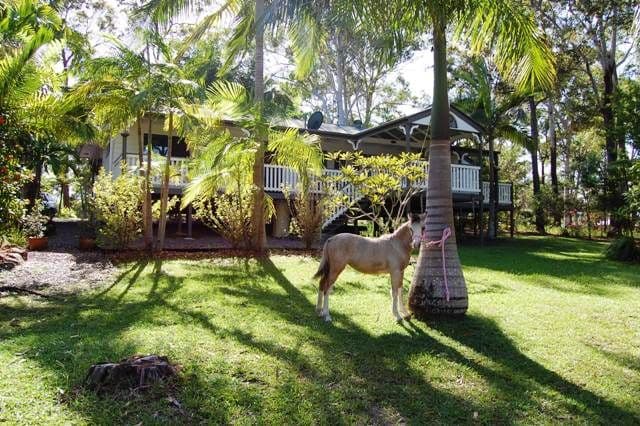 36 Marlock Court, DOONAN QLD 4562, Doonan - Image 1