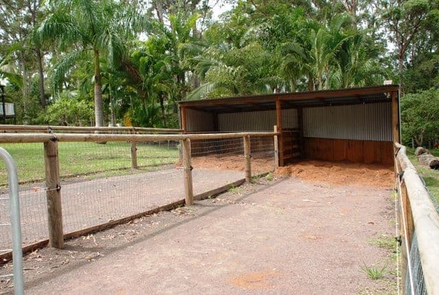 36 Marlock Court, DOONAN QLD 4562, Doonan - Thumbnail 8