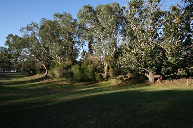 274 and 276 Burrows Road, WAIKERIE SA 5330, Waikerie - Thumbnail 3